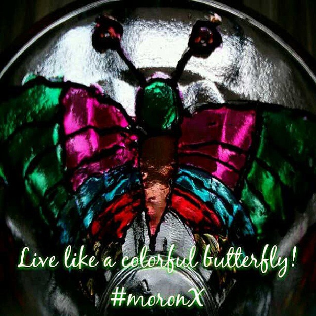 #Live like a colorful #butterfly...! My #glass #painting #experiments ... #moronX #glasspainting