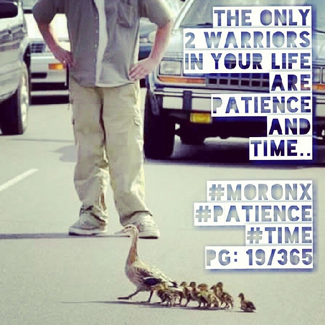 The only 2 warriors
in your life are
patience and time.. #moronX #patience #time
pg: 19/365
