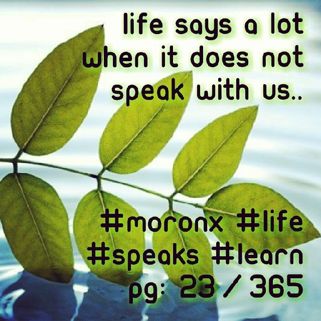 life says a lot
when it does not
speak with us.. #moronX
#life
#speaks
#learn
pg: 23/365