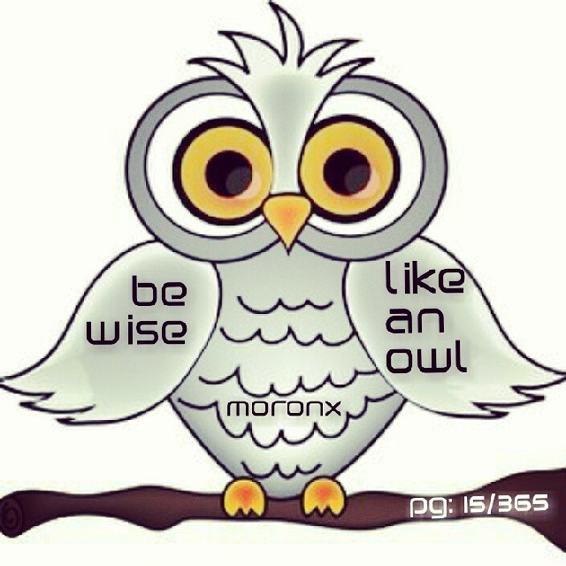 Be wise like an owl... #moronX #owl #wise
pg: 15/365