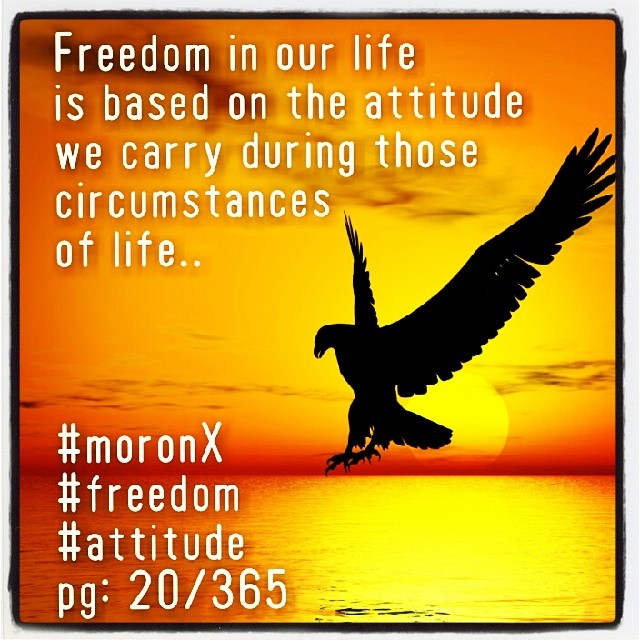 Freedom in our life is based on the attitude we carry during those circumstances of life.. #moronX #life #attitude #freedom
pg:30/365