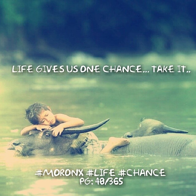 Life gives us one chance... take it.. #moronX #life #chance
pg: 48/365