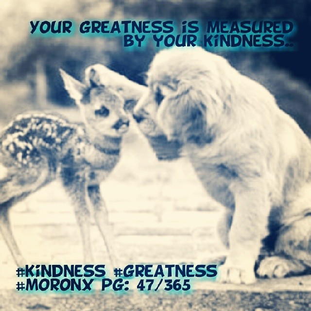 Your greatness is measured by your kindness.. #kindness #greatness
#moronX pg:47/365