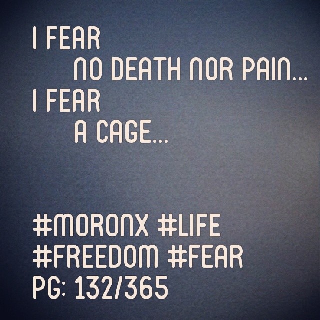 I fear no death nor pain...
I fear a cage... #moronX #life #freedom #fear
pg: 132/365