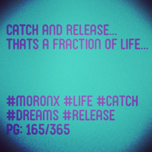 Catch and release...
thats a fraction of life... #moronX #life #catch
#dreams #release
pg: 165/365