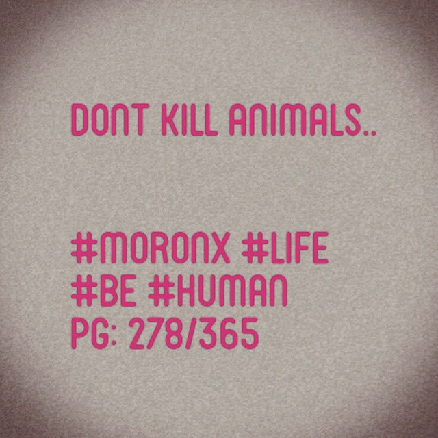 Dont kill animals.. #moronX #life
#be #human
pg: 278/365