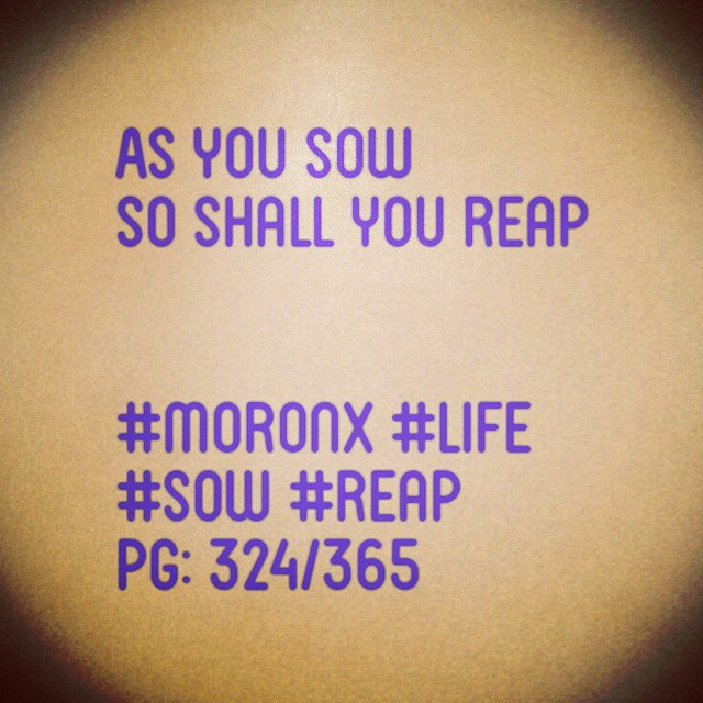 As you sow
so shall you reap#moronX #life
#sow #reap
pg: 324/365